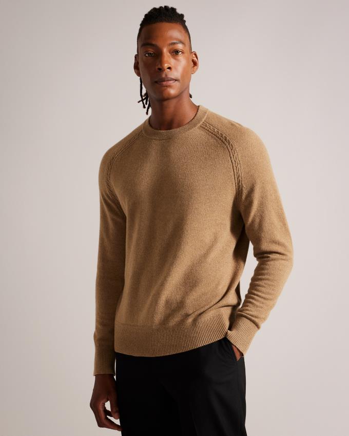 Pull Ted Baker Pure Cashmere Marron Foncé Homme | UTL-37831821